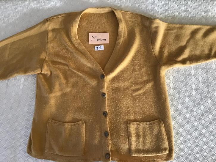 pull moyen pour femme à 3 euros, Vêtements | Femmes, Pulls & Gilets, Comme neuf, Taille 38/40 (M), Enlèvement ou Envoi