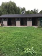 Prairie à louer pour 3 chevaux avec box, Animaux & Accessoires