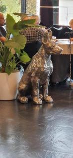 Chien en stainless inox, Enlèvement