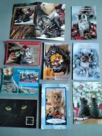 Lot de 9 cartes postales avec de beaux chats, Collections, Cartes postales | Animaux, Chien ou Chat, 1980 à nos jours, Enlèvement ou Envoi