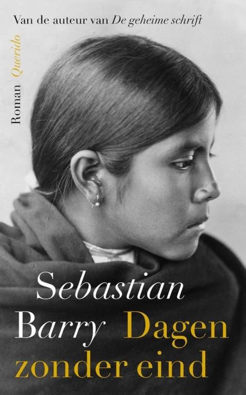 Te Koop Boek DAGEN ZONDER EIND Sebastian Barry, Boeken, Romans, Zo goed als nieuw, Europa overig, Ophalen of Verzenden