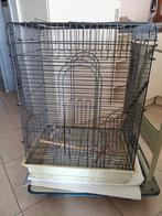 PAPEGAAI KOOI, Animaux & Accessoires, Oiseaux | Cages & Volières, Enlèvement, Utilisé, Métal, Cage d'élevage