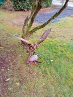 Taxidermie Buizerd en Meerkoet, Enlèvement, Utilisé, Oiseaux, Animal empaillé