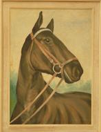portret van paard - gesigneerd en gedateerd: M. Peeters 1968, Huis en Inrichting, Schilderij, Ophalen of Verzenden, Zo goed als nieuw