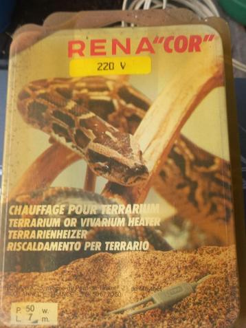 reptielen planten beschikbaar voor biedingen