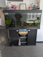 Aquarium met onderkast & toebehoren, Dieren en Toebehoren, Ophalen