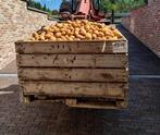 Nieuwe aardappelen, Carolus en Frieslander, Ophalen