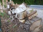 Brandhout, Tuin en Terras, Brandhout, 3 tot 6 m³, Ophalen, Essenhout, Blokken