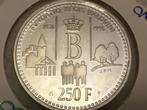 250 frank 1996 Koning Boudewijn Stichting, Ophalen of Verzenden, Zilver, Zilver