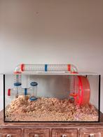 Terrarium voor hamsters, Dieren en Toebehoren, Ophalen, Zo goed als nieuw