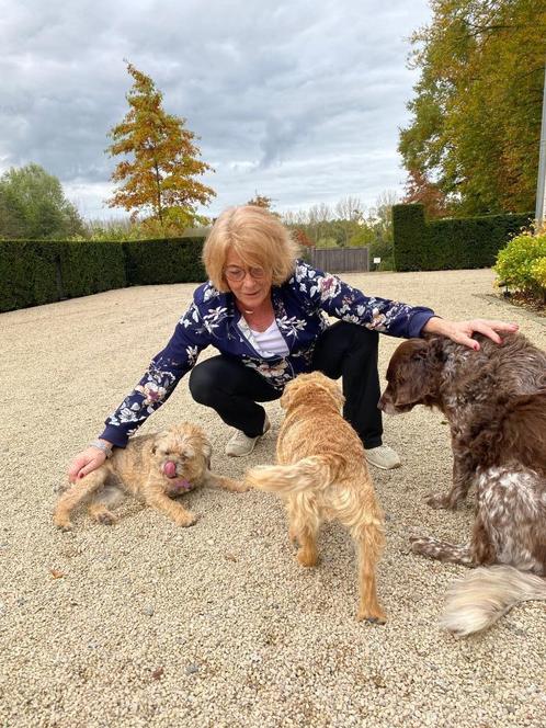 Garde de chiens, Dieren en Toebehoren, Honden-accessoires, Ophalen of Verzenden