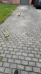 Betonklinkers, Doe-het-zelf en Bouw, Ophalen, Gebruikt