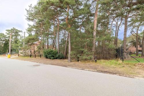 Grond te koop in Lichtaart, Immo, Gronden en Bouwgronden, 1500 m² of meer