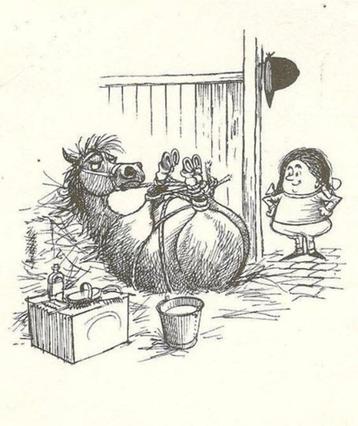 TONTE ET TOILETTAGE DE CHEVAUX ET PONEYS  beschikbaar voor biedingen