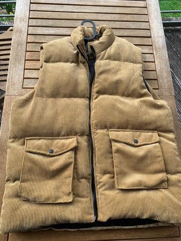 Heren bodywarmer corduroy camel xxl beschikbaar voor biedingen