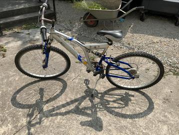 3 fietsen kinderen en volwassen 100 euro beschikbaar voor biedingen