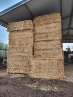 Voordroog hooi en tarwe stro te koop, Dieren en Toebehoren, Ophalen