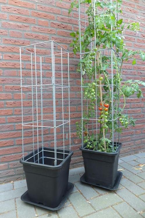 Tomatenplanten moestuin plantenrekken groenten kweken, Tuin en Terras, Bloembollen en Zaden, Zaad, Ophalen of Verzenden