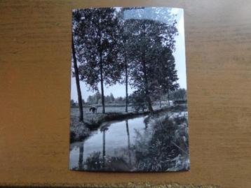 Postkaart Veerle, Natuurschoon beschikbaar voor biedingen