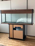 Aquarium 285L, Dieren en Toebehoren, Ophalen, Gebruikt, Leeg aquarium