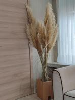Boeket pampas pluimen, Huis en Inrichting, Ophalen, Nieuw