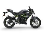 Kawasaki Z125 2024, Motos, Motos | Kawasaki, 1 cylindre, Naked bike, 125 cm³, Jusqu'à 11 kW