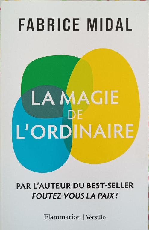La magie de l'ordinaire : Fabrice Midal : GRAND FORMAT, Boeken, Psychologie, Zo goed als nieuw, Ontwikkelingspsychologie, Ophalen of Verzenden