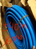 Frankische alpex, Enlèvement