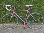 Pinarello racefiets, Gebruikt, Carbon, Heren, 53 tot 57 cm