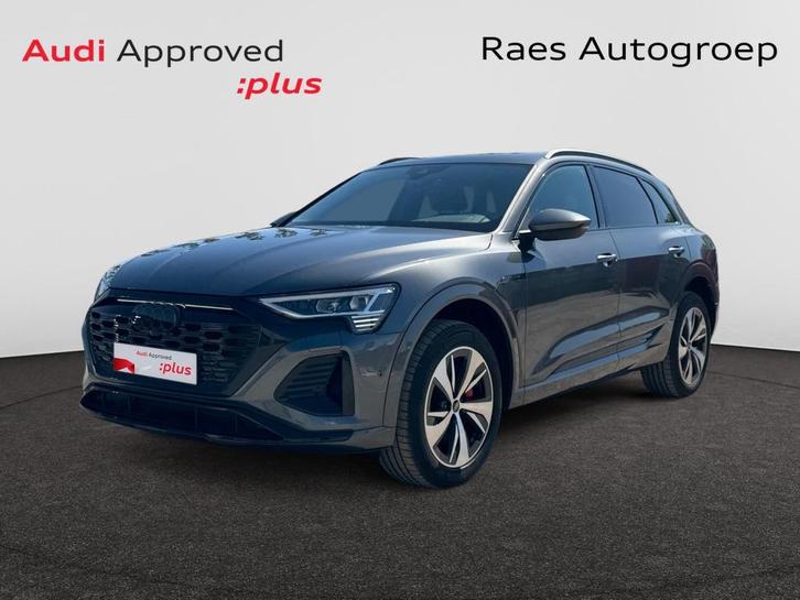 Audi Q8 e-tron Q8 e-Tron 106 kWh 55 Quattro S line, Auto's, Audi, Q8, ABS, Airbags, Airconditioning, Boordcomputer, Cruise Control