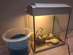 Aquarium met toebehoren 36 x 22 x 40, Ophalen, Zo goed als nieuw