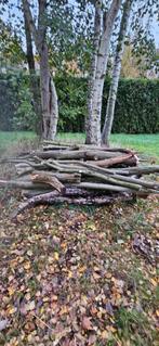 brandhout wilg en populier, Tuin en Terras, Brandhout, 3 tot 6 m³, Ophalen, Overige houtsoorten, Stammen