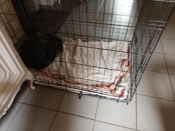 Hondenkooi,afmetingen 1,22 l,76 br, 84 h beschikbaar voor biedingen