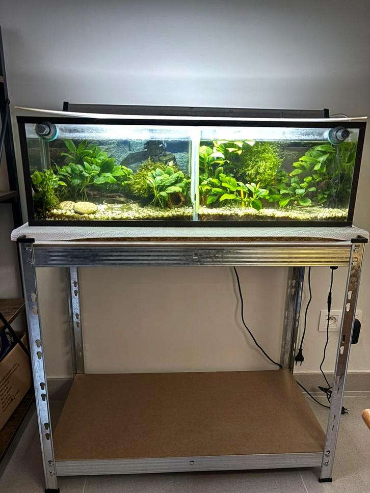 2-delig kweek aquarium 80x21.5x25 en materiaal, Dieren en Toebehoren, Vissen | Aquaria en Toebehoren, Gebruikt, Leeg aquarium