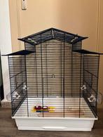 Cage oiseaux, Dieren en Toebehoren, Vogels | Hokken en Kooien, Ophalen, Zo goed als nieuw