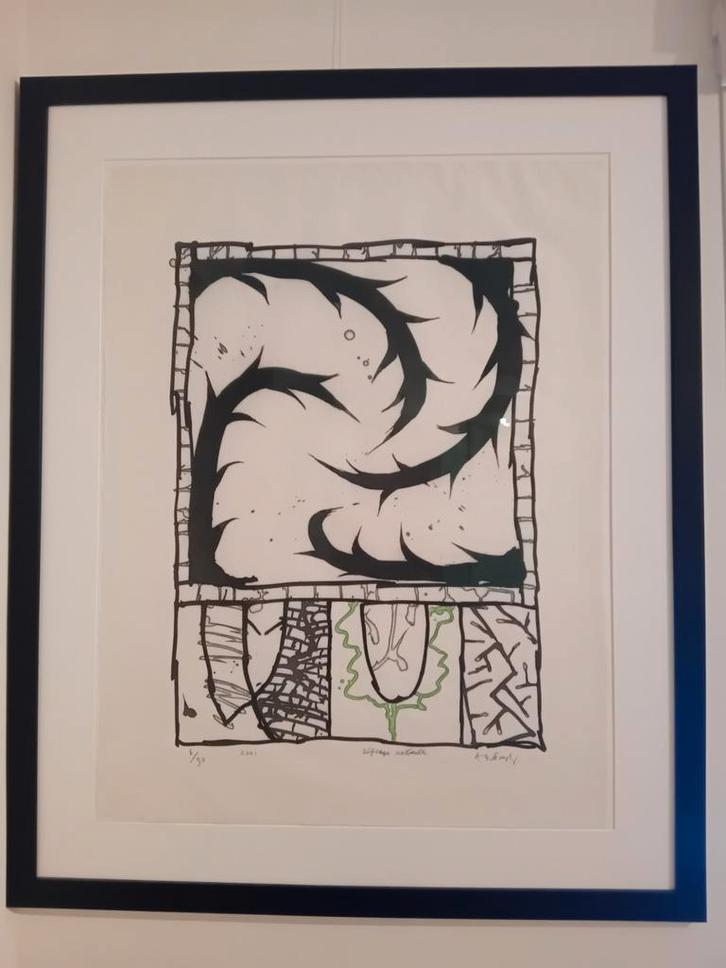 Type kunstwerk Grafiek (handgesigneerd)Jaartal 2001Techniek , Antiek en Kunst, Kunst | Etsen en Gravures, Ophalen