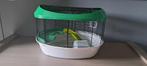 Hamsterkooi, Ophalen, Gebruikt, Kooi, Hamster