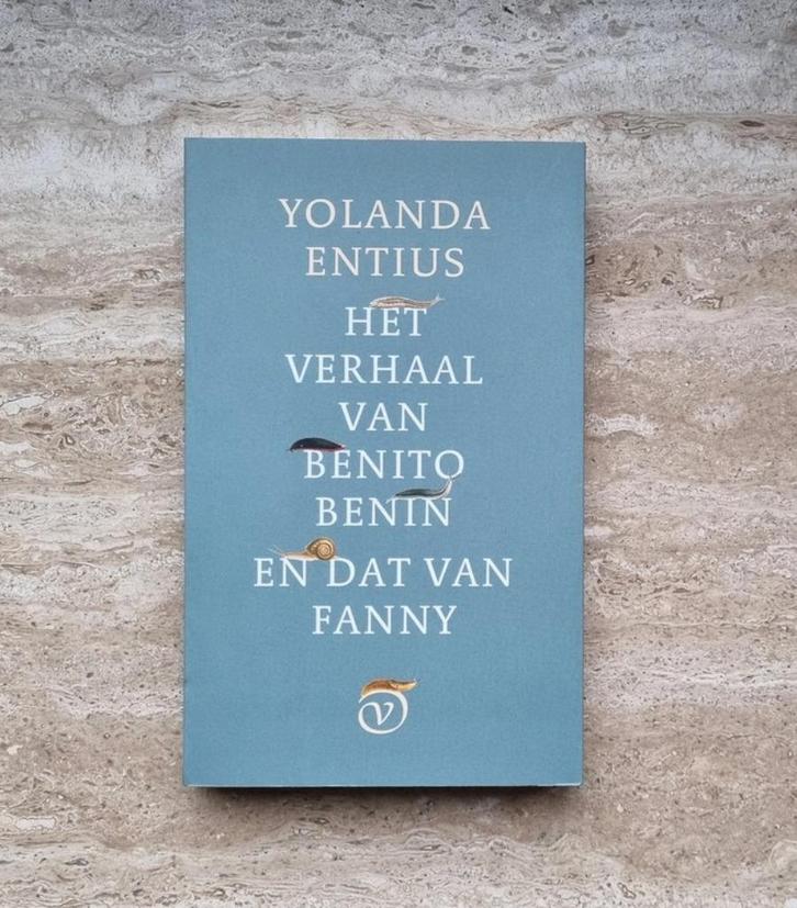 Het verhaal van Benito Benin en dat van Fanny, dubbelroman, Boeken, Romans, Nieuw, Nederland, Ophalen of Verzenden