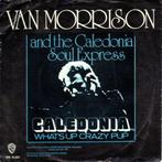 VAN MORRISON, Cd's en Dvd's, Vinyl | Rock, Ophalen of Verzenden