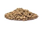 Croquettes chien adulte 10kg, Enlèvement ou Envoi, Chien
