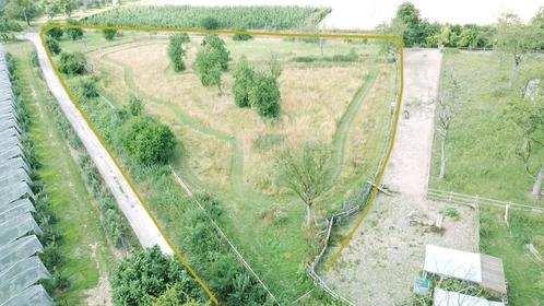 Uitgestrekte paardenweide van 68a 17ca – volledig omheind en, Immo, Gronden en Bouwgronden, 1500 m² of meer