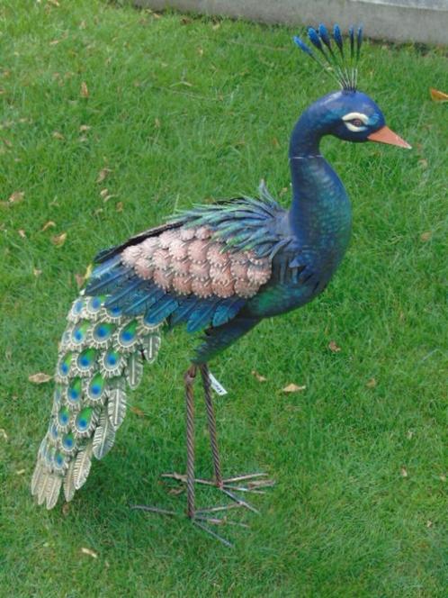 een staande pauw in smeedijzer van Colors..., Tuin en Terras, Tuinbeelden, Nieuw, Dierenbeeld, Metaal, Ophalen