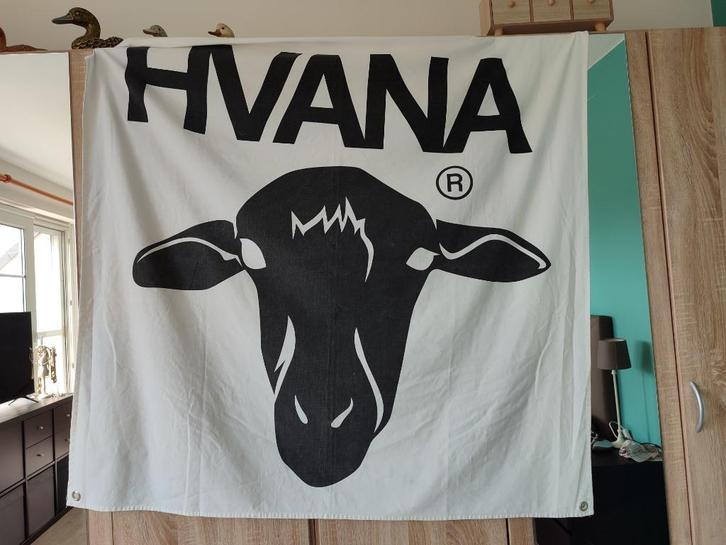 HVANA-vlag (schaapskop?) +/- 120 cm x 120 cm, Diversen, Vlaggen en Wimpels, Gebruikt, Ophalen of Verzenden