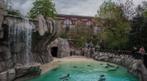 1 ticket voor de dierentuin van Antwerpen, Tickets en Kaartjes, Recreatie | Dierentuinen, Eén persoon, Dierentuinbon