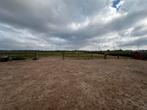 ✨ Weide met schuilstallen & paddock – ideaal voor paarden!, Dieren en Toebehoren, Meerdere dieren, Niet van toepassing
