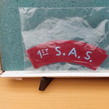 Lot de 2 plaques d'immatriculation SAS, Enlèvement ou Envoi
