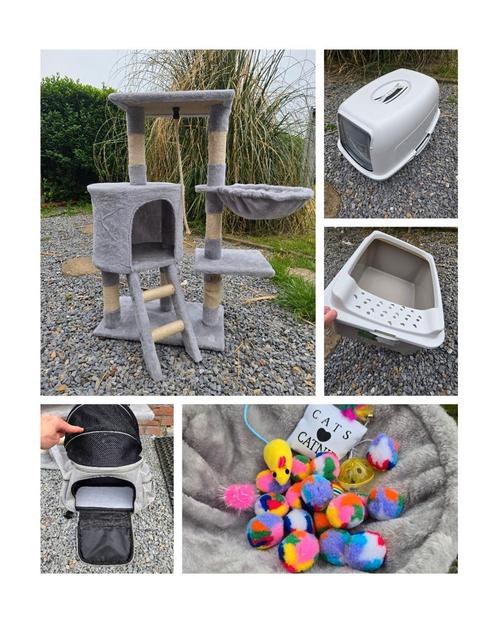 Super lot d’accessoires pour chat – Tout en excellent état !, Dieren en Toebehoren, Katten-accessoires, Zo goed als nieuw, Ophalen of Verzenden