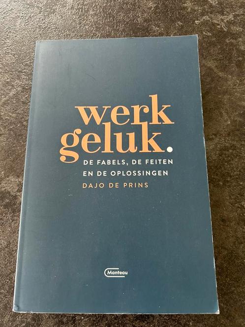 Dajo De Prins - Werkgeluk, Livres, Politique & Société, Neuf, Enlèvement ou Envoi