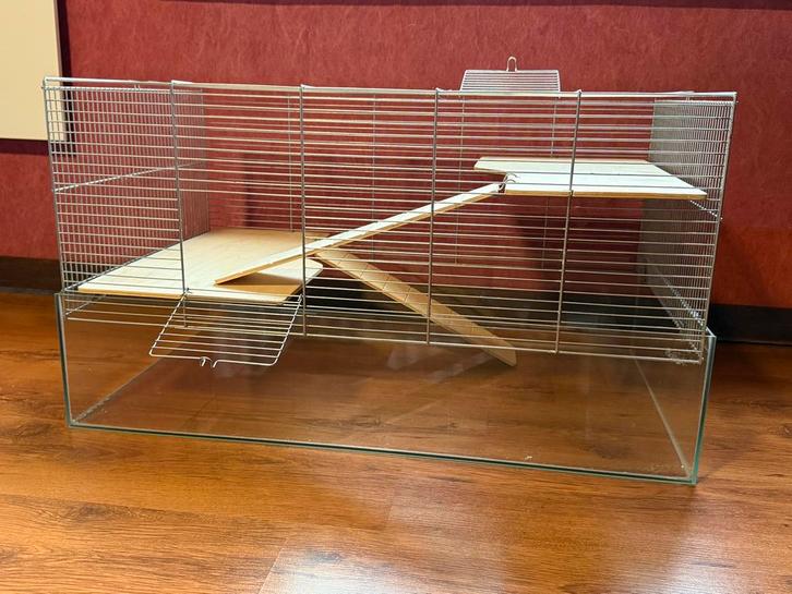 Kooi voor hamster, Dieren en Toebehoren, Knaagdieren en Konijnen | Hokken en Kooien, Gebruikt, Kooi, Hamster, Ophalen