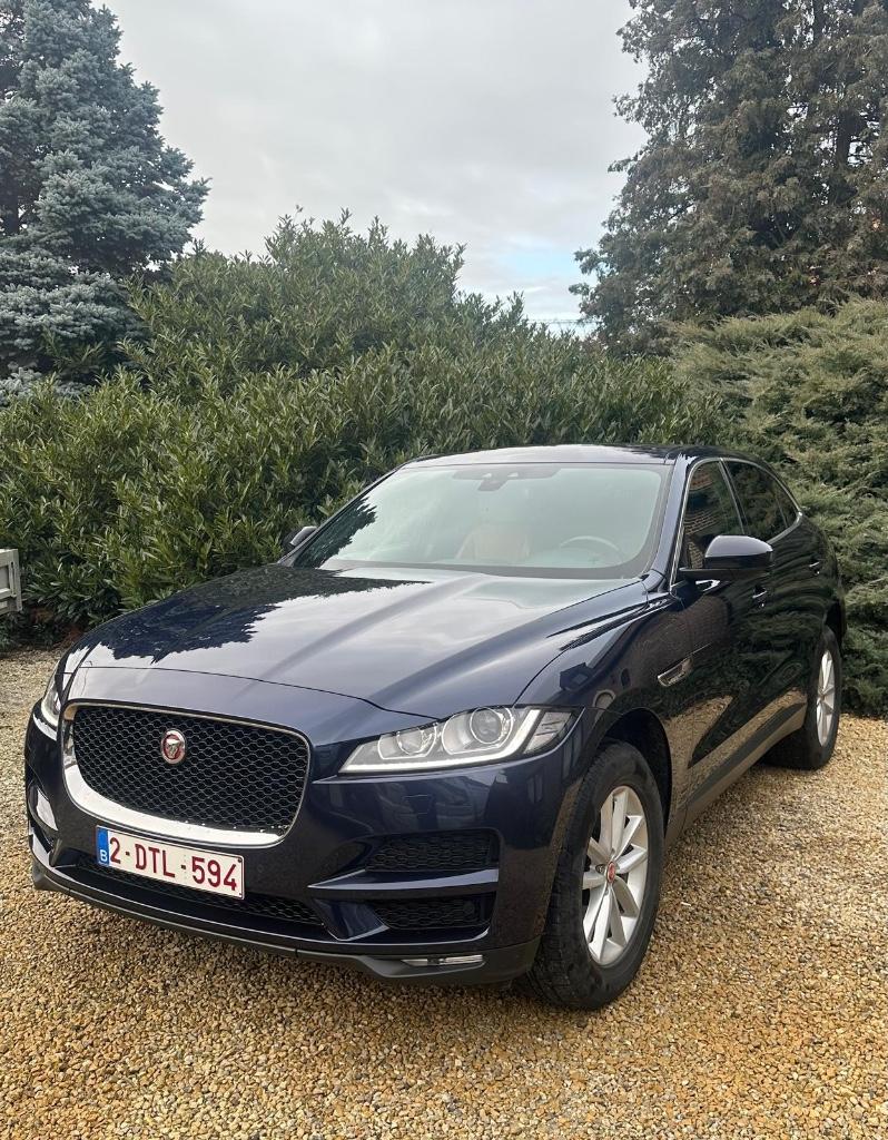 Jaguar F-Pace, Autos, Jaguar, Cuir, Carnet d'entretien, 5 portes, Diesel
